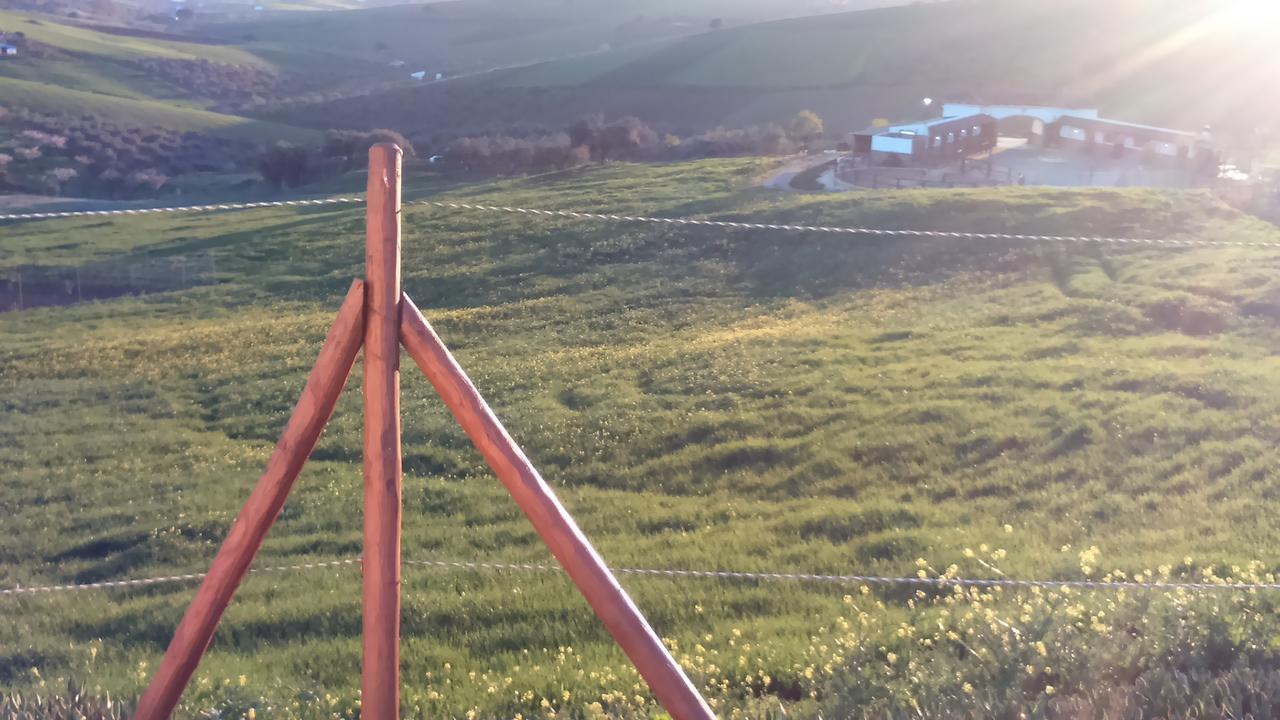 Biznaga Guest House Касабермеха Екстериор снимка