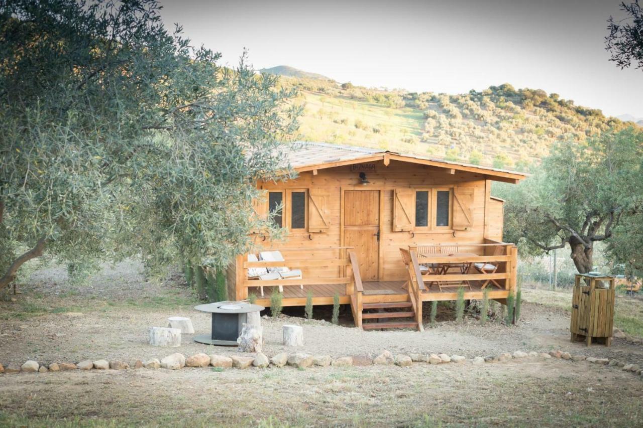 Biznaga Guest House Касабермеха Екстериор снимка